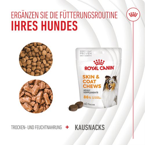 Royal Canin - SKIN & COAT CHEWS ADULT SUPPLEMENTS - 1 x 240 g