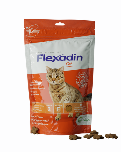  Vetoquinol - Flexadin - Cat - 60 Chews 