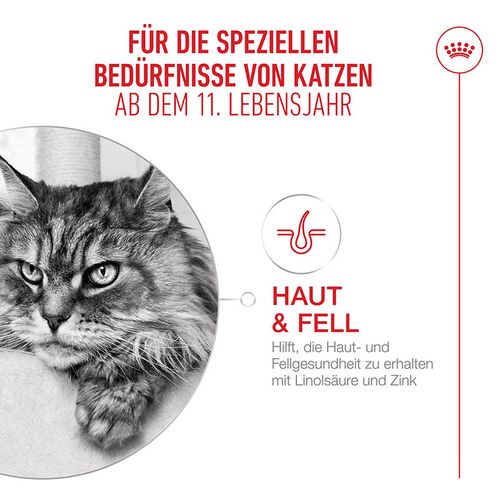 Royal Canin Ageing 11+ Gravy Nassfutter Katze Fell