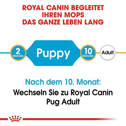 Royal Canin Pug Puppy Welpenfutter trocken für Mops Lebensphasen