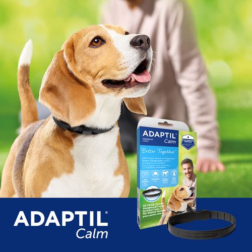 ADAPTIL® Calm Halsband - Anti Stress Erziehungshalsband für kleine Hunde