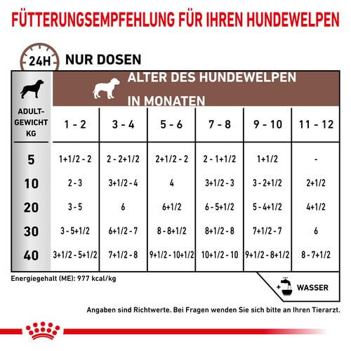 Royal Canin GASTROINTESTINAL PUPPY Nassfutter Fütterung