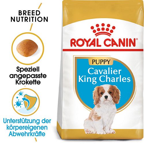 Royal Canin Cavalier King Charles Puppy Welpenfutter trocken