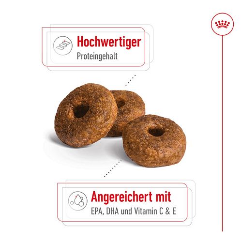 Royal Canin MEDIUM Ageing 10+ Trockenfutter für ältere mittelgroße Hunde 3kg