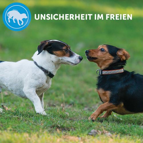 ADAPTIL® Calm Halsband - Anti Stress Erziehungshalsband für kleine Hunde