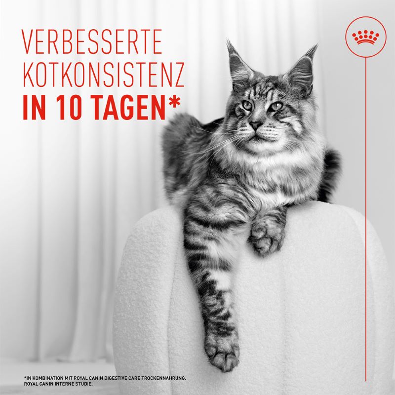 Royal Canin - DIGESTIVE CARE AIRLIFT Loaf - Nassfutter KATZE