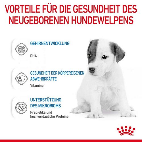 Royal Canin - BABYDOG MILK Canine - Instant-Pulver Vorteile