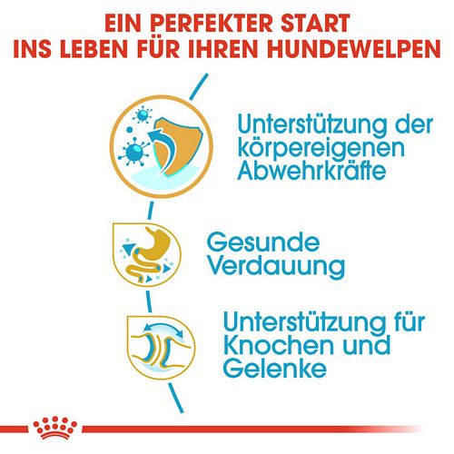 Royal Canin Bulldog Puppy Welpen Trockenfutter Vorteile