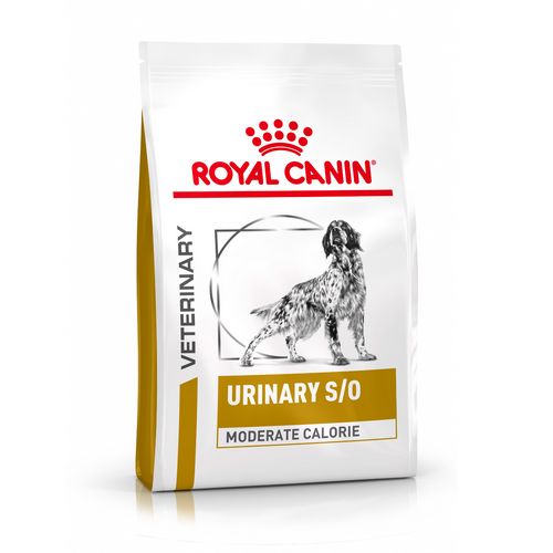 Royal Canin Veterinary URINARY S/O MODERATE CALORIE Trockenfutter für Hunde 6,5 kg Royal Canin Veterinary URINARY S/O MODERATE CALORIE Trockenfutter für Hunde 6,5 kg