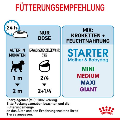 Royal Canin Starter Mousse Mother & Babydog Welpenfutter nass für tragende Hündinnen und Welpen kleiner Rassen von der 2. - 8. Woche 12 x 195 g