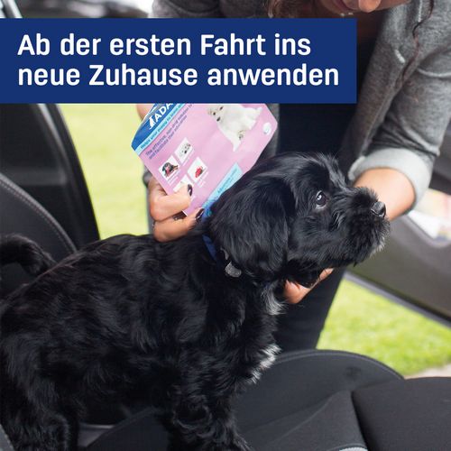 CEVA Adaptil Junior Halsband für Hundewelpen