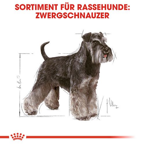 Royal Canin Miniature Schnauzer Adult Hundefutter trocken für Zwergschnauzer