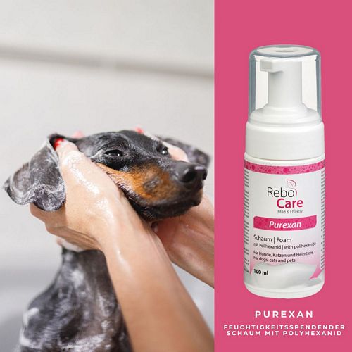 reboVet - ReboCare - PUREXAN - Fellpflege-Schaum - 100 ml