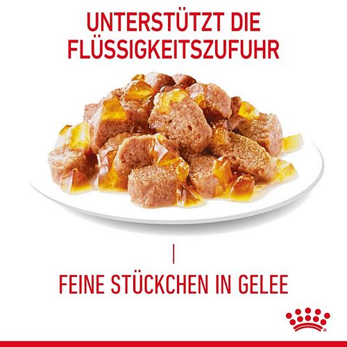 Royal Canin LIGHT WEIGHT in Gelee Nassfutter für zu Übergewicht neigenden Katzen