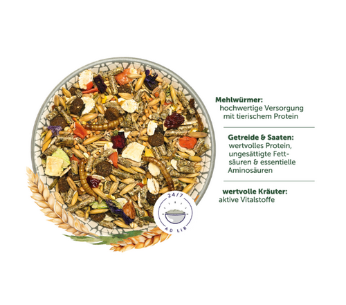 Bunny - HamsterTraum BASIC