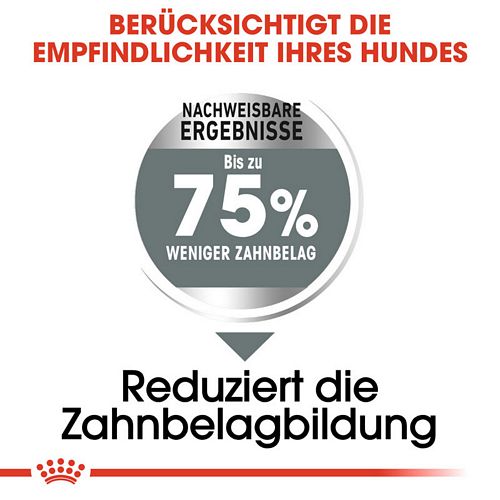 Royal Canin DENTAL CARE MAXI Trockenfutter Vorteile