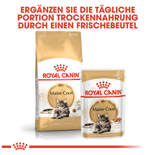 Royal Canin Maine Coon Adult Katzenfutter nass