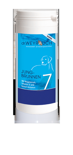 Dr. Weyrauch - Nr. 7 Jungbrunnen - 60 Kapseln