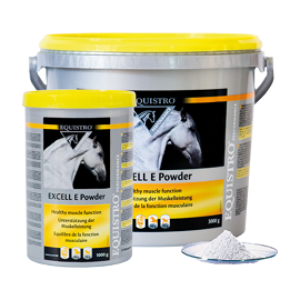 Vetoquinol Equistro Excell E powder Super E 3000 g