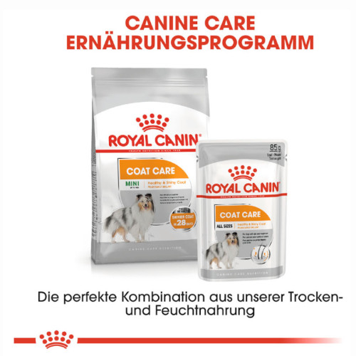Royal Canin COAT CARE MINI Trockenfutter für kleine Hunde für glänzendes Fell
