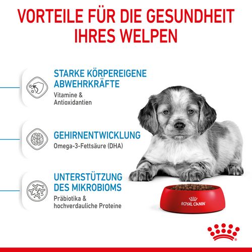 Royal Canin MEDIUM Puppy Trockenfutter Vorteile