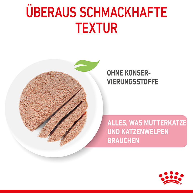 Royal Canin MOTHER & BABYCAT Mousse für tragende Katzen und Kitten 12 x 195 g