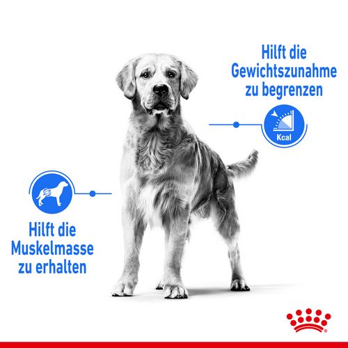 Royal Canin LIGHT WEIGHT CARE MAXI Trockenfutter für zu Übergewicht neigenden Hunden 12 kg