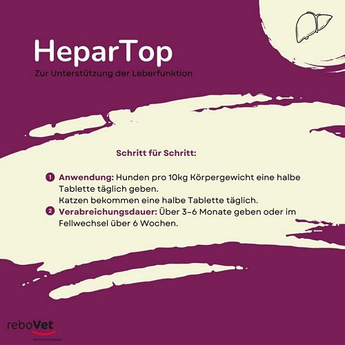 reboVet - ReboTabs - HEPAR-Top - 100 Tabs