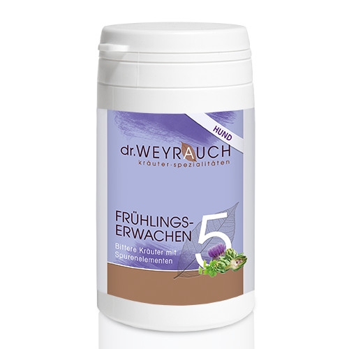 Dr. Weyrauch Nr. 5 Frühlingserwachen Hund