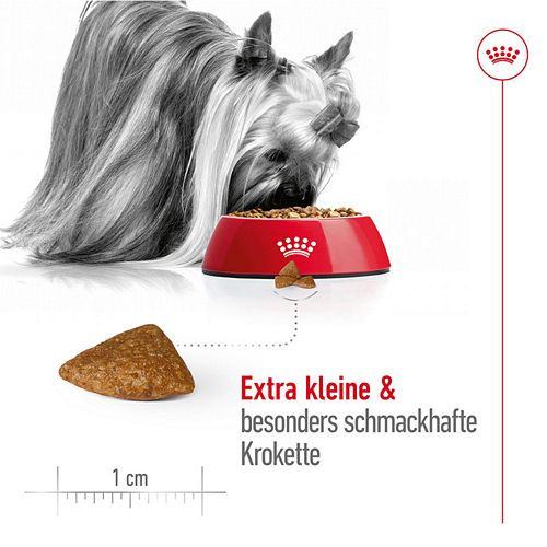 Royal Canin X-SMALL Ageing 12+ Trockenfutter für ältere sehr kleine Hunde Kroketten