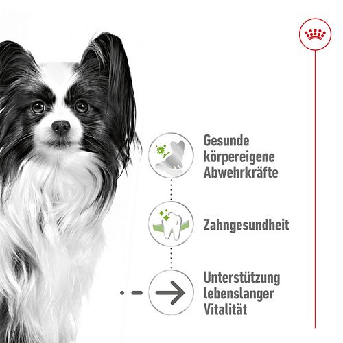 Royal Canin X-SMALL Adult 8+ Trockenfutter für sehr kleine Hunde 1,5kg