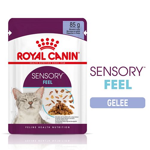 Royal Canin SENSORY Feel Nassfutter in Gelee für wählerische Katzen 12 x 85 g