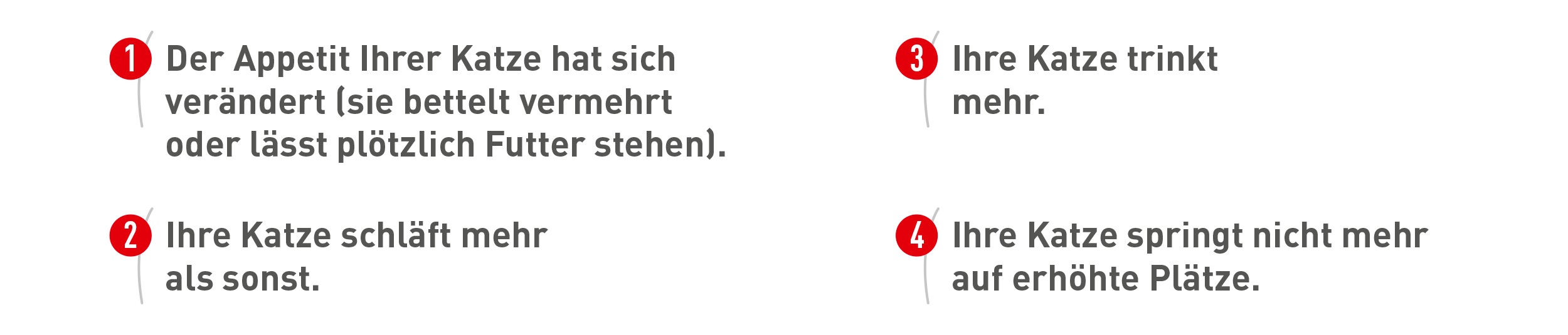 Verhalten Ihrer Katze