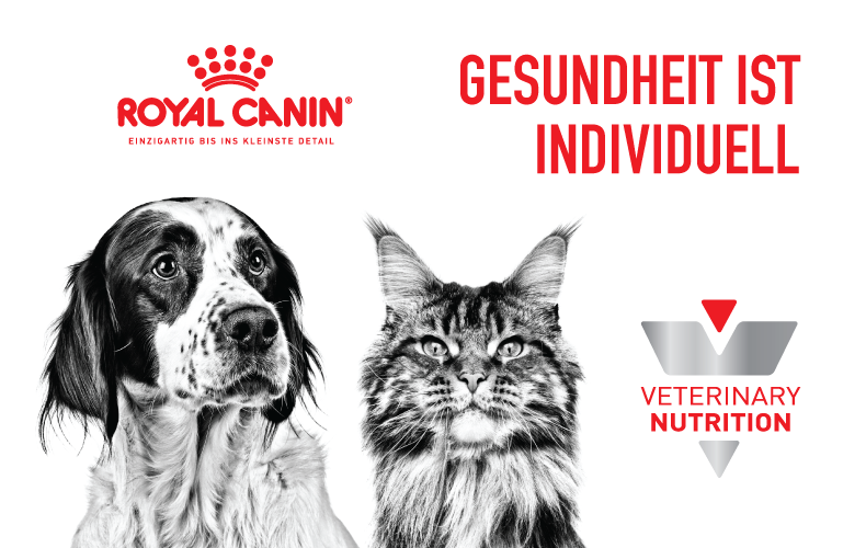 Royal Canin Markenkommunikation Banner 1a Royal Canin Markenkommunikation Banner 1a