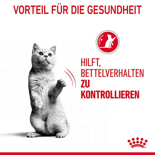 Royal Canin Appetit Control in Soße 12 x 85g