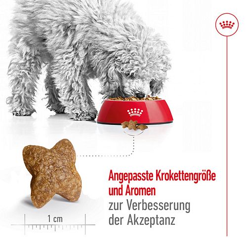 Royal Canin MINI Adult Trockenfutter für kleine Hunde 8kg