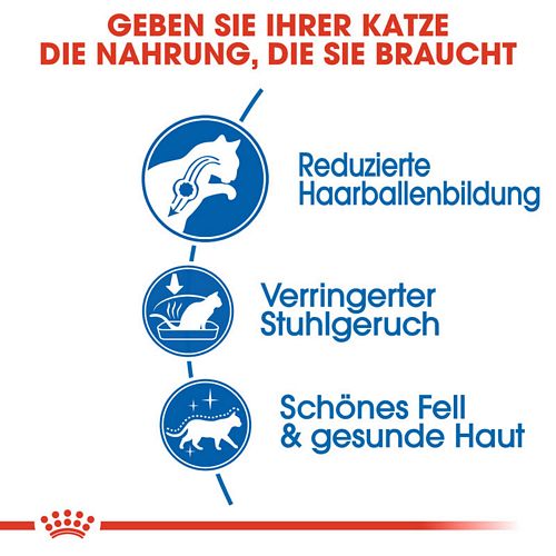 Royal Canin INDOOR Longhair Trockenfutter für Wohnungskatzen mit langem Fell