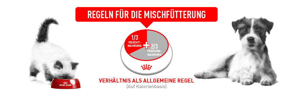 Royal Canin Mischfütterung Regeln Royal Canin Mischfütterung Regeln
