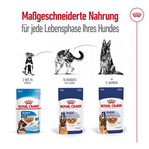 Royal Canin MAXI ADULT - Nassfutter Lebensphasen