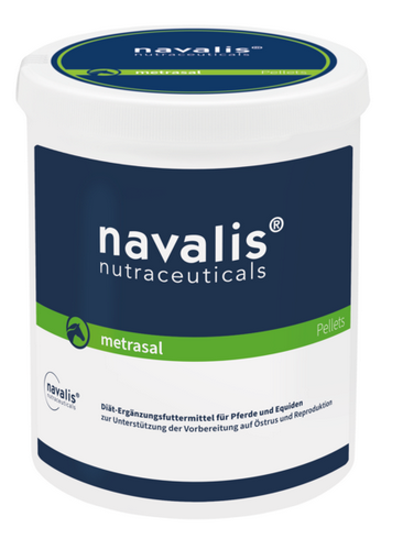 Navalis - METRASAL HORSE