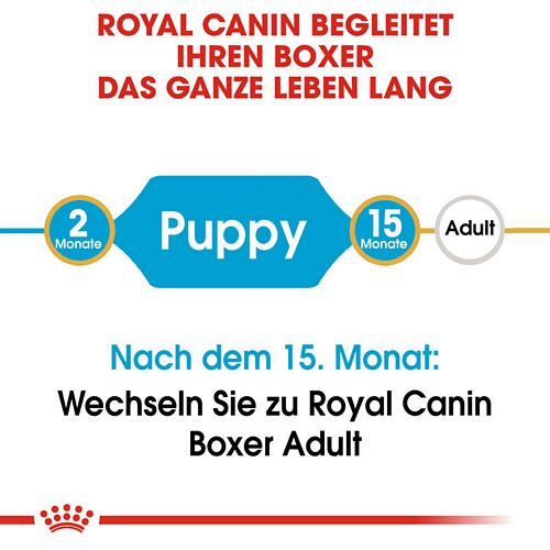 Royal Canin Boxer Puppy Welpentrockenfutter Lebensphasen