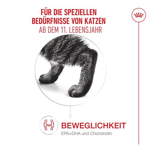 Royal Canin Ageing 11+ Jelly Nassfutter Katze Beweglichkeit