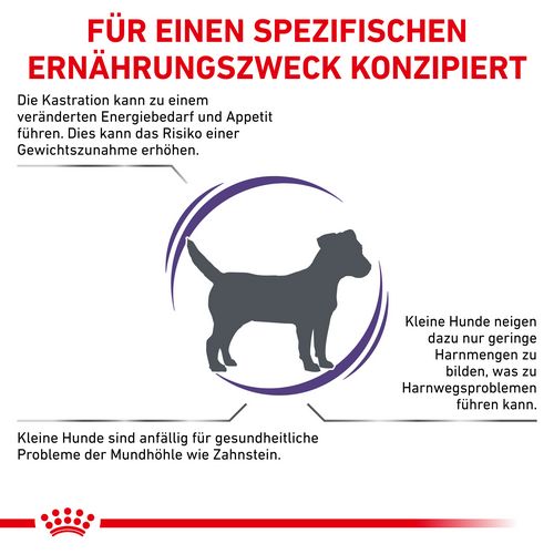 Royal Canin Expert NEUTERED ADULT SMALL DOGS Trockenfutter für Hunde 3,5 kg