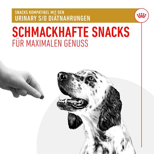 Royal Canin - URINARY S/O - Treats - 1 x 230 g