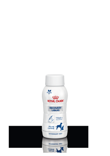 Royal Canin RECOVERY LIQUID Feline 3x200ml Royal Canin RECOVERY LIQUID Feline 3x200ml