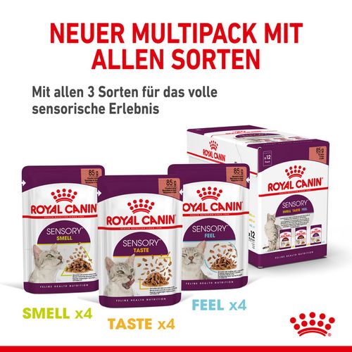 Royal Canin SENSORY Smell Taste Feel Nassfutter Multipack in Soße für wählerische Katzen 12 x 85 g