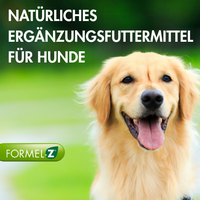Formula Z Hund 1