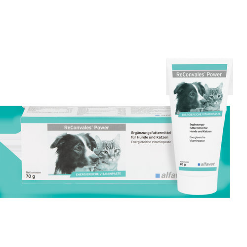 alfavet ReConvales Power 70 g Energiepaste