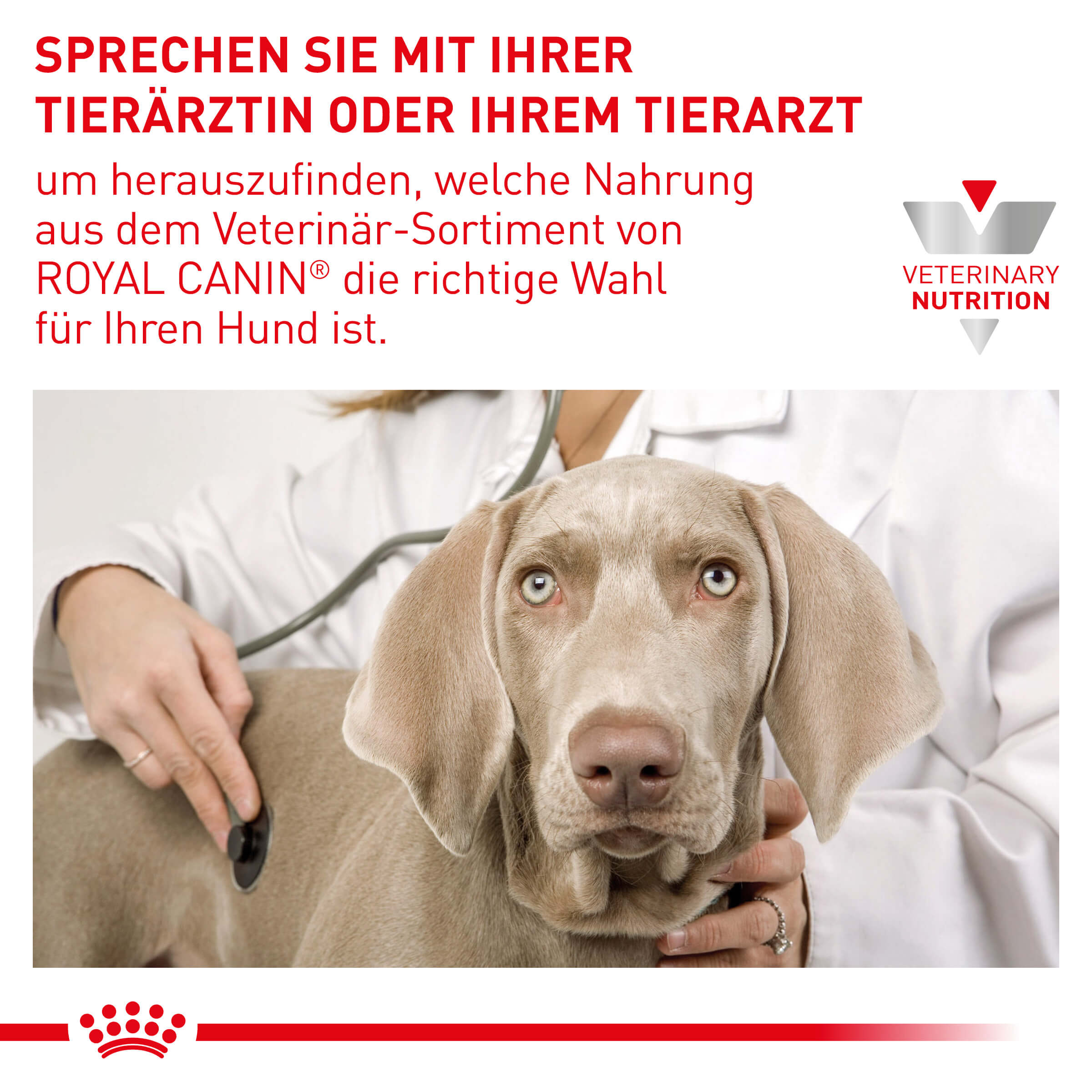 Royal Canin Veterinary GASTROINTESTINAL HIGH FIBRE Trockenfutter für Hunde 7,5 kg