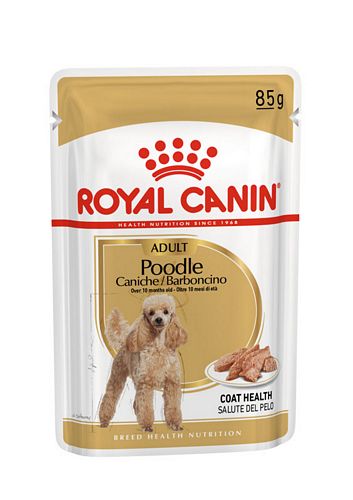 Royal Canin Poodle Adult in Soße Hundefutter nass